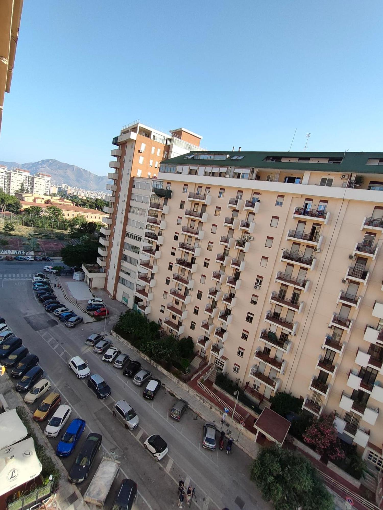D'amelio Sweet Apartment